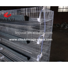 Quail Cage With Automatic Feeding System